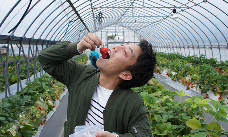 はとバスで行く南房総食べつくしツアー